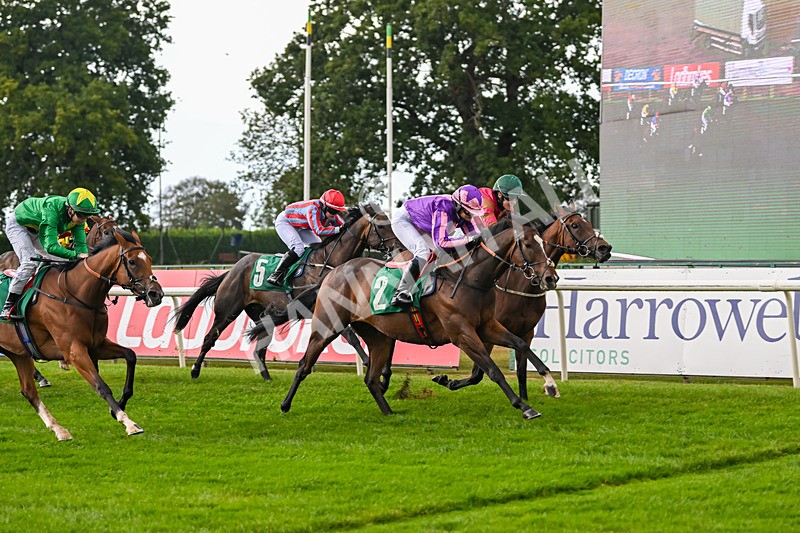 290825-Race 1-Sandret-8097 - Race 1