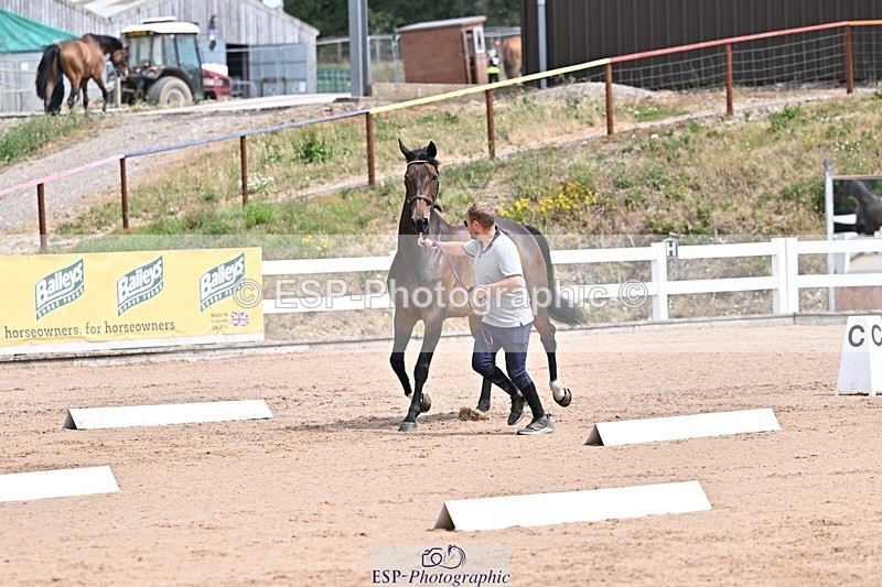 250716-125642-00237 - Trot Up 12.30 to 1.30