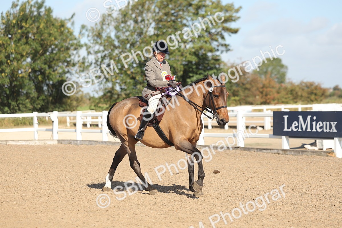 SBM_22348 - Class 803 - Ridden Combination 65+