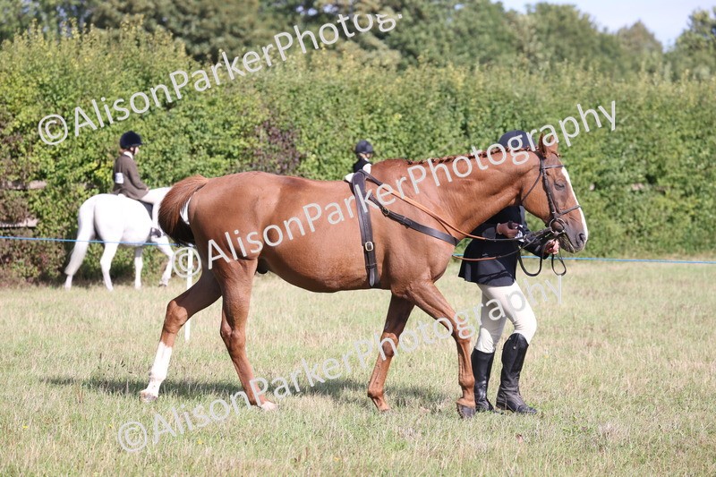 20260906-0672 - Class 22 - Ex Racehorse