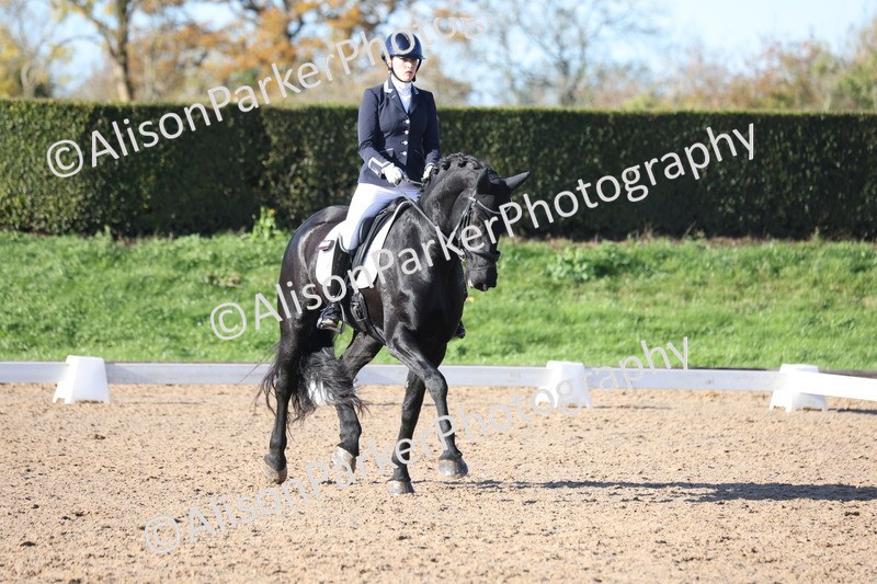 20251102-0548 - Class 3 - Novice 5