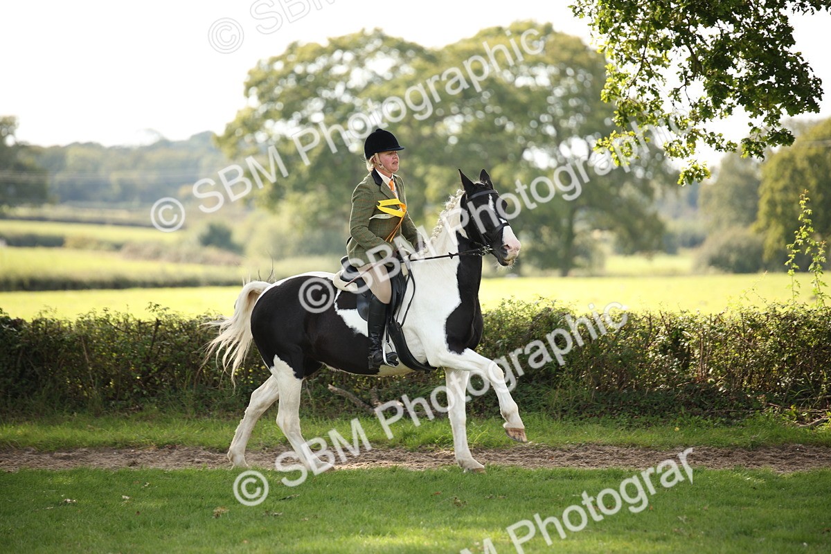 SBM_70168 - S65 - Piebald & Skewbald Horse Ridden