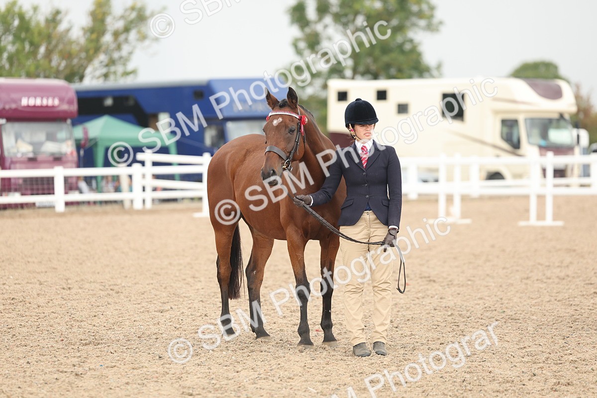 SBM_07651 - Class 26 - IH Foreign Breeds - Part Bred