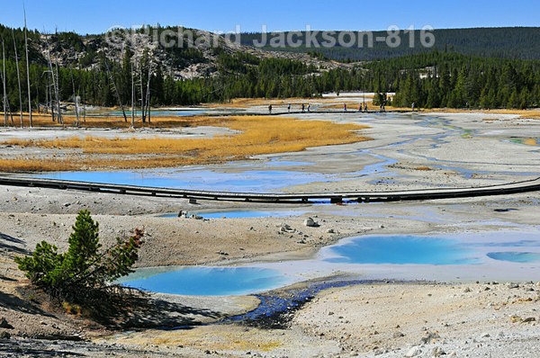 Norris Geyser Basin - Yellowstone National Park