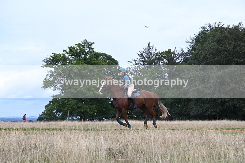 DSC_7590 - Time at Statue 13:16 to 13:52