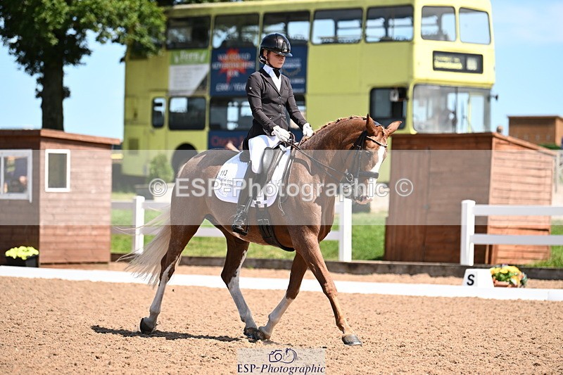 240816A-131545-05006 - 113-Ruby.Gumbley-Nova's.Golden.Dream