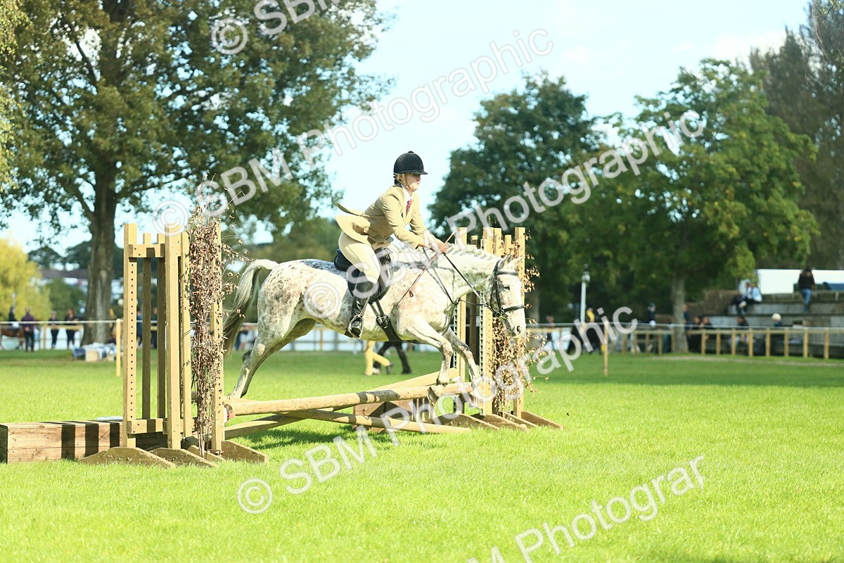 SBM_39243 - S29 - Novice & Newcomers Working Hunter Pony
