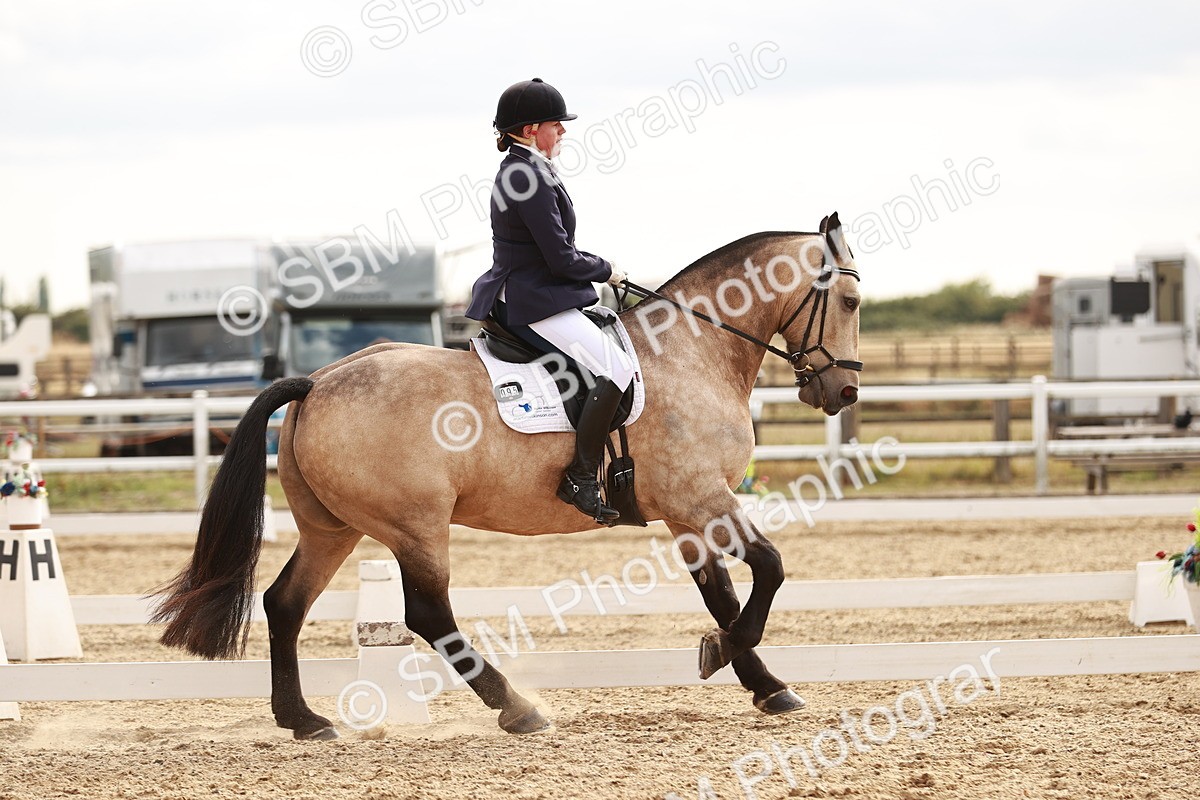 SBM_003695 - Class 5 - Elementary 5 - 15.54-1.42