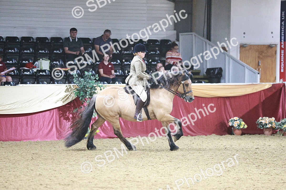 SBM_08113 - Class 11R - Regional Ridden Veteran