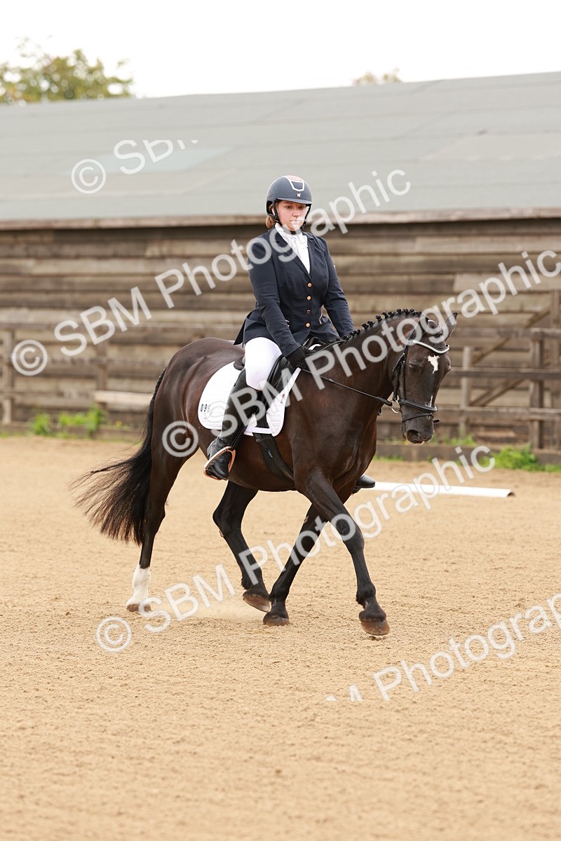 SBM_001040 - Intro 2