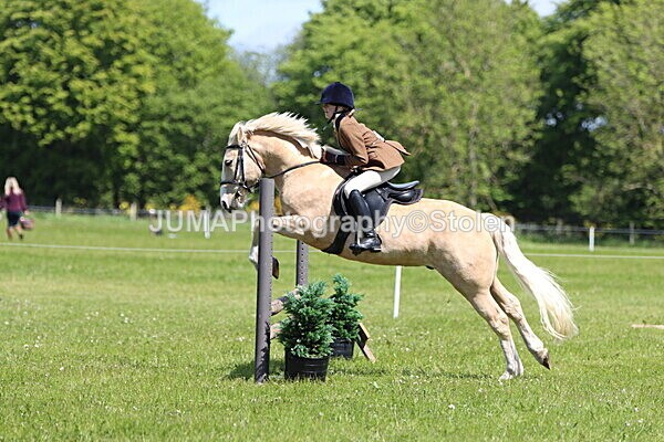 IMG_3662 - Working Hunter