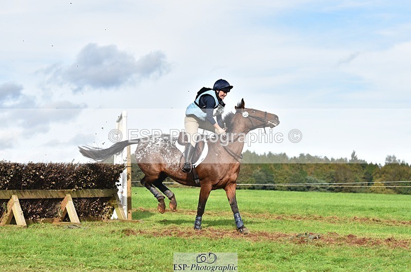 231021-142148-18894 - 482-ODDSPOT.VITAL.ELEMENT-Danielle.Davies-SC+XC