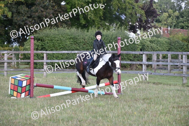 20250831-0444 - Class 7 - Absolute Novice 35cm