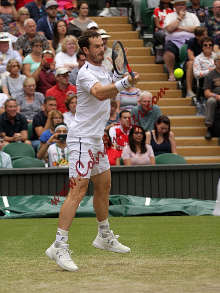 AF0I0119 - Wimbledon