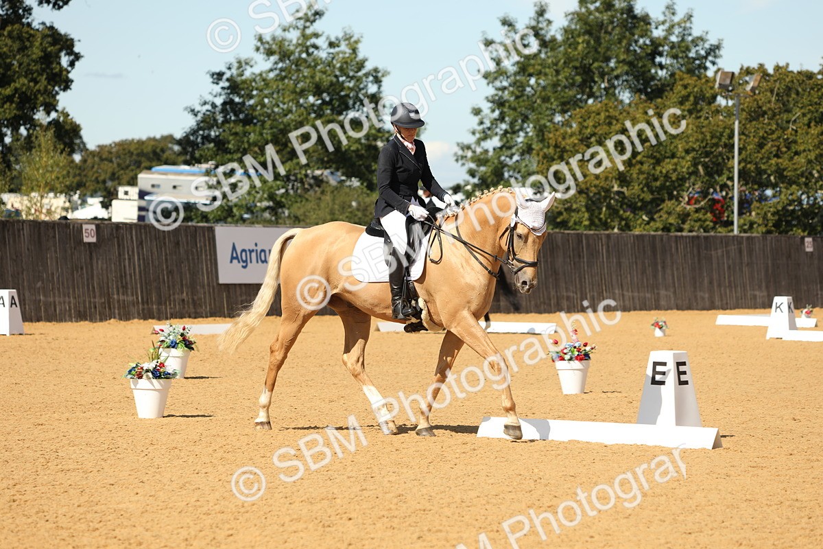 SBM_22326 - D17 - Grand Tour Championship - Novice 27