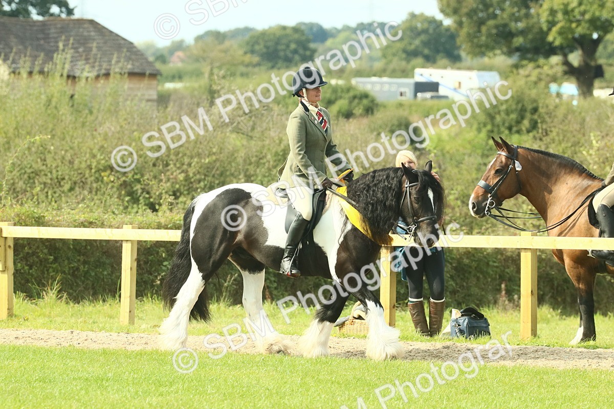SBM_69001 - S58 - Mini Show Cob Ridden