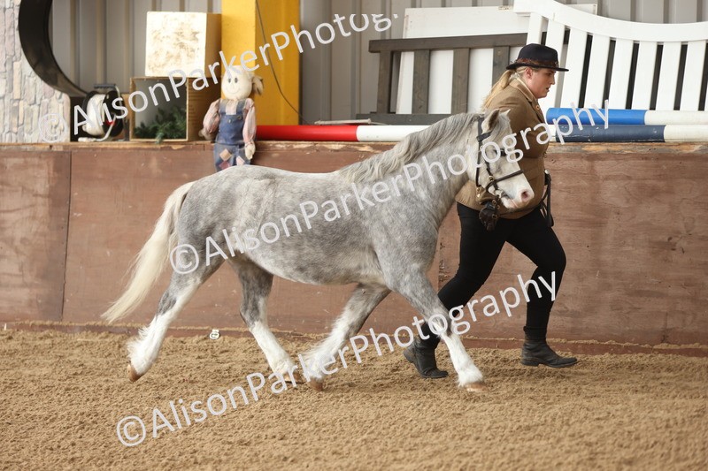 20251109-0600 - Class 22 - Geldings 4 Years and over