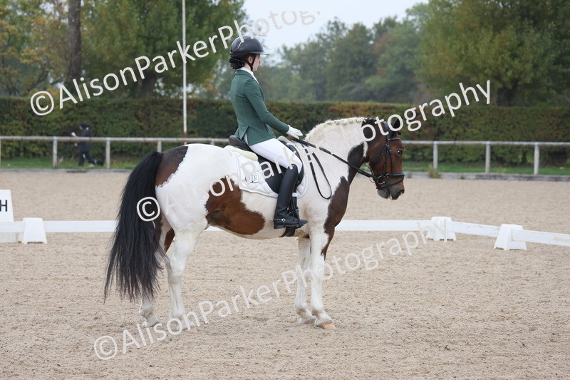 20251012-0709 - Class 6 - Elementary 6