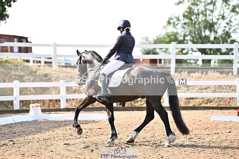 250815-094755-00202 - 027-Samantha.PringTongwynlais.Moon.Dancer