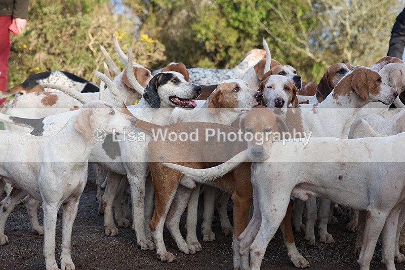 3E7A5310 - FBH Carn Brea 26.12.2025