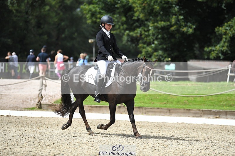 230812-121428-04067 - Cls 6 Novice Silver 12.10 to End