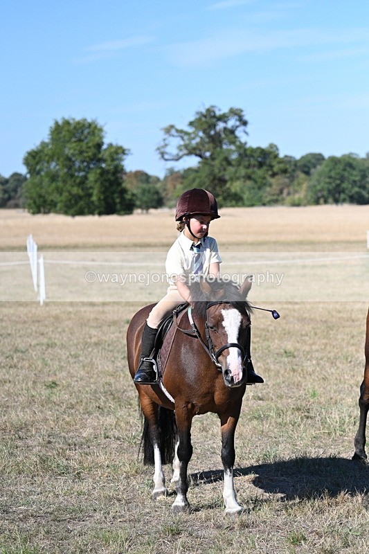 WJ7_2201 - Class 44 Child's Best Friend