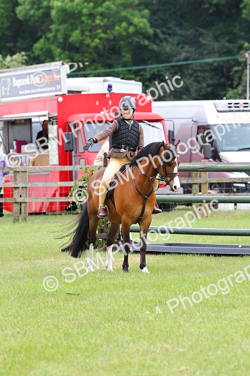 SBM_08616 - Class 42-43 - LIHS BSPS Heritage Working Sports Pony