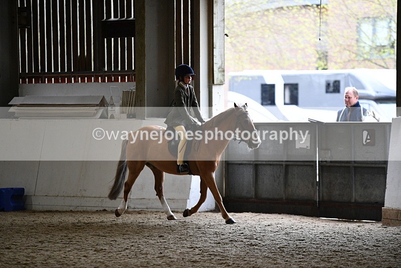 WJ5_6829 - Class 10 Childs Pony
