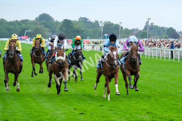 080925-Race 6-Rhapsody-9639 - Race 6 5.00pm Sky Bet Build A Bet Fillies' Handicap