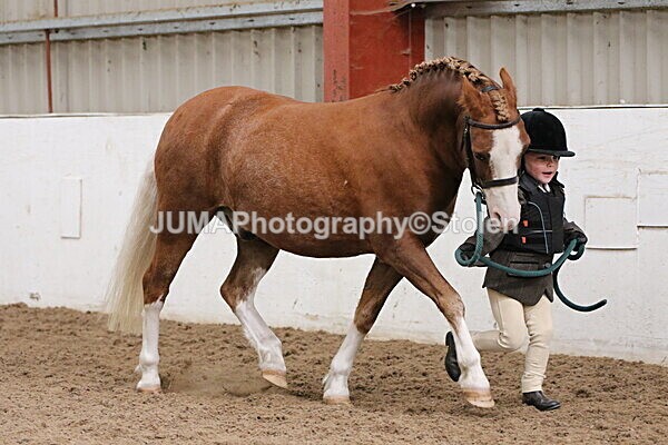 SIAL0460 - Small Arena - Saturday