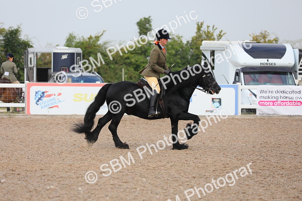 SBM_10018 - Class 302 Ridden M&M -Large Breeds