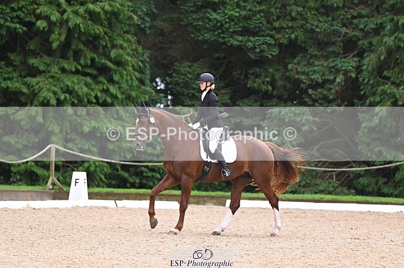 240809-121921-00740 - 185-Daisy.Hedges-Felicia.v