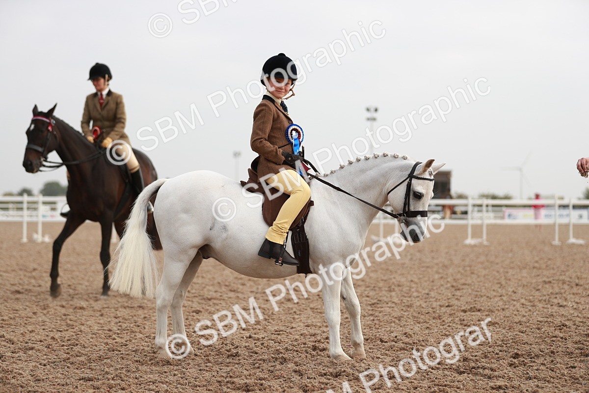 SBM_09450 - Class 202 Best Turned Out Ridden