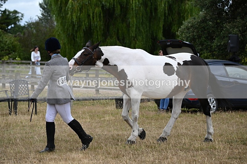 WJ6_8280 - Class 10 Coloured in Hand