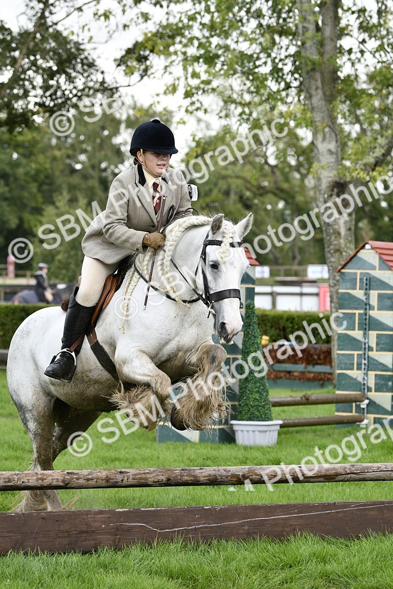 SBM_41543 - S32 - Mountain & Moorland Working Hunter Pony