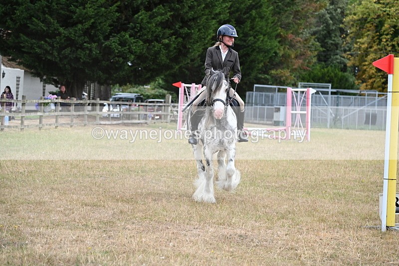 WJ6_9707 - Class 12 Minimus Jumping 45cm