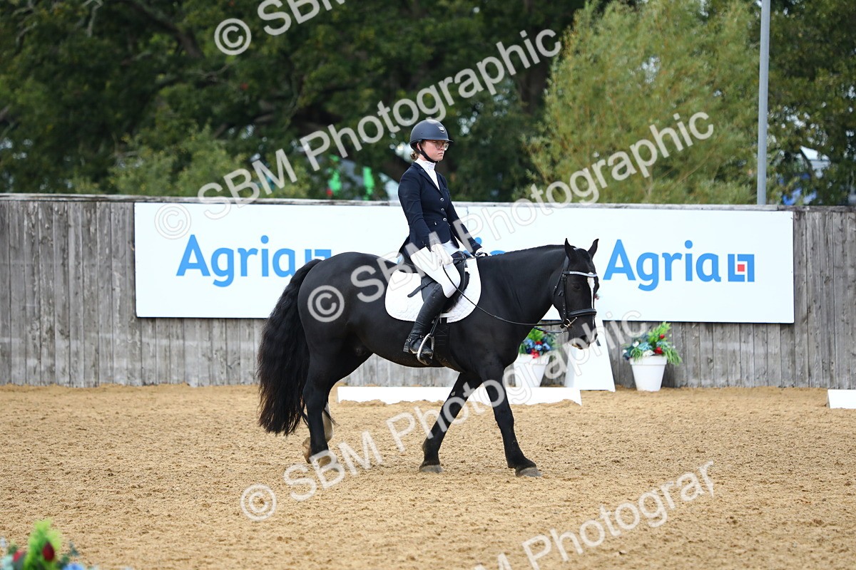 SBM_42708 - D21 - Junior Championship Intro 1