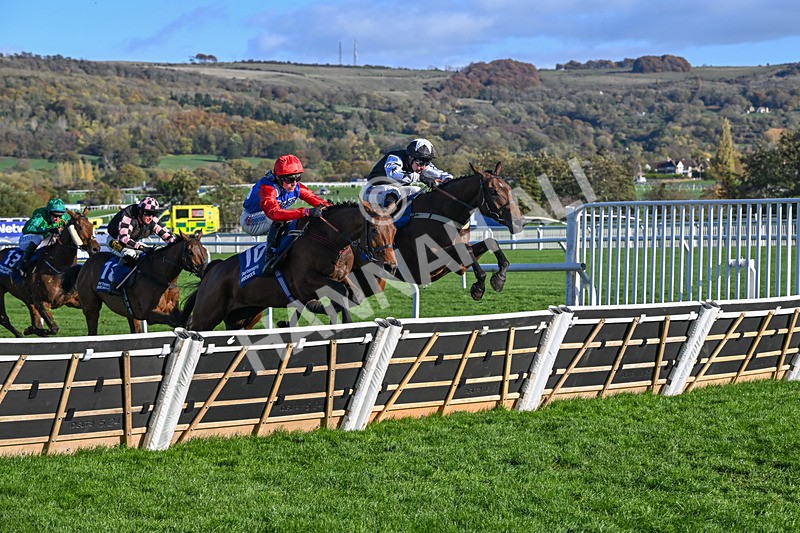 251025-Race 4-Gowel Road-9194 - Race 4