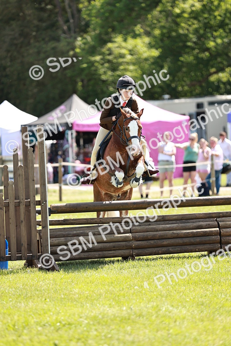 SBM_17619 - Class 112-113 - BSPS LIHS Working Sports Pony