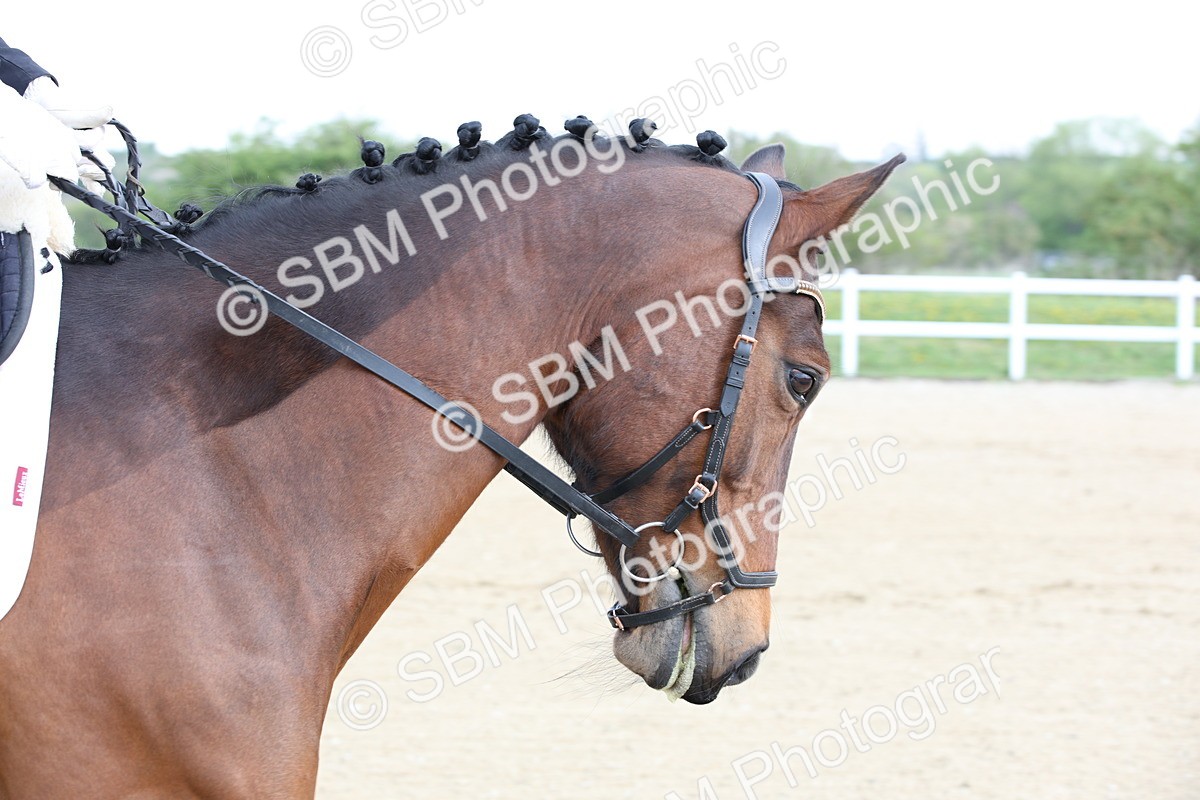 SBM_006431 - Class 1-3 - Intro 1 Lead Rein-Intro 4