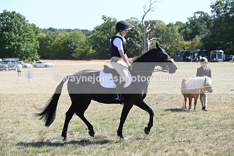 WJ6_8314 - Class 37a Best Loan Pony Ridden