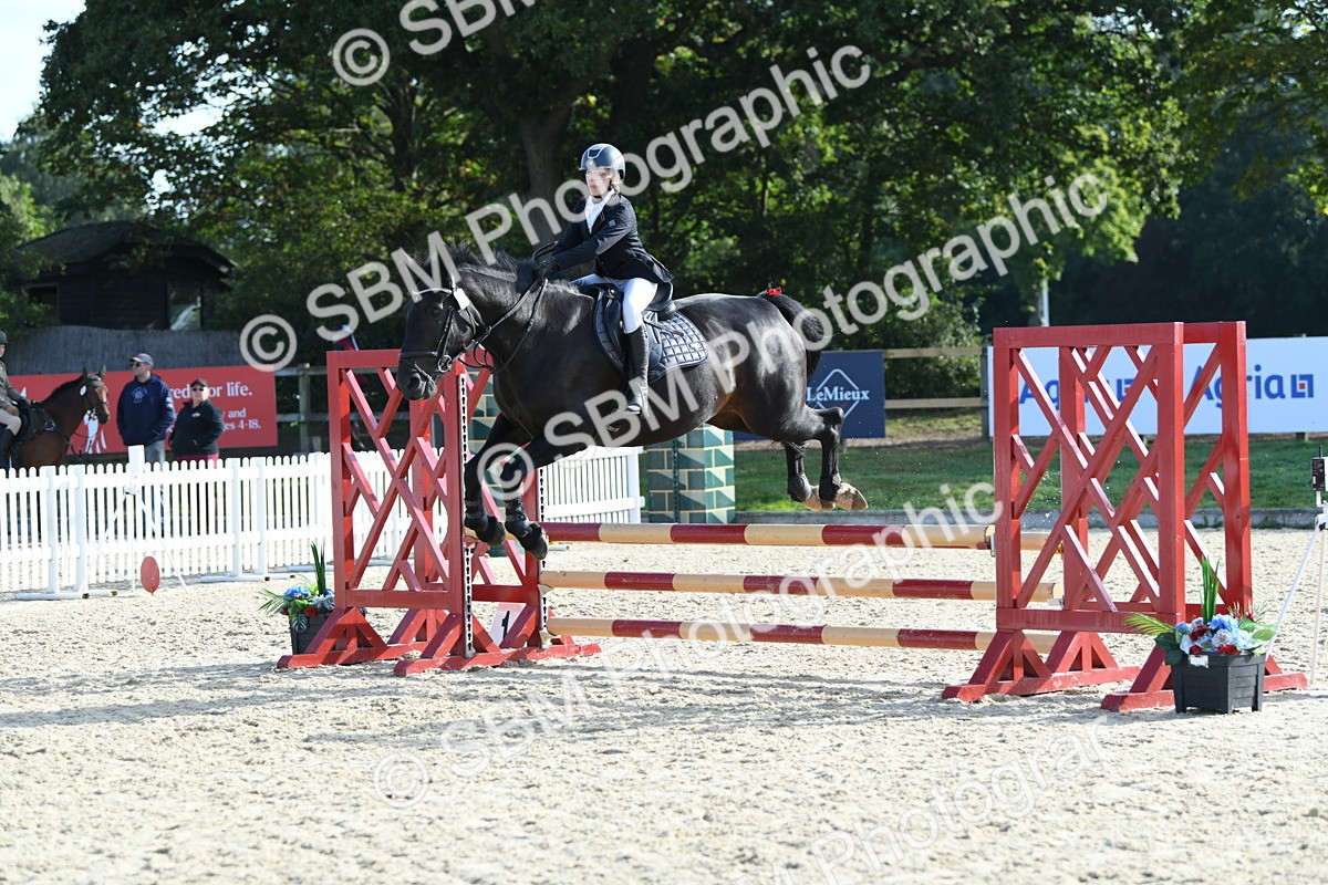 SBM_60534 - j25 - Junior Horse 80cm Championship