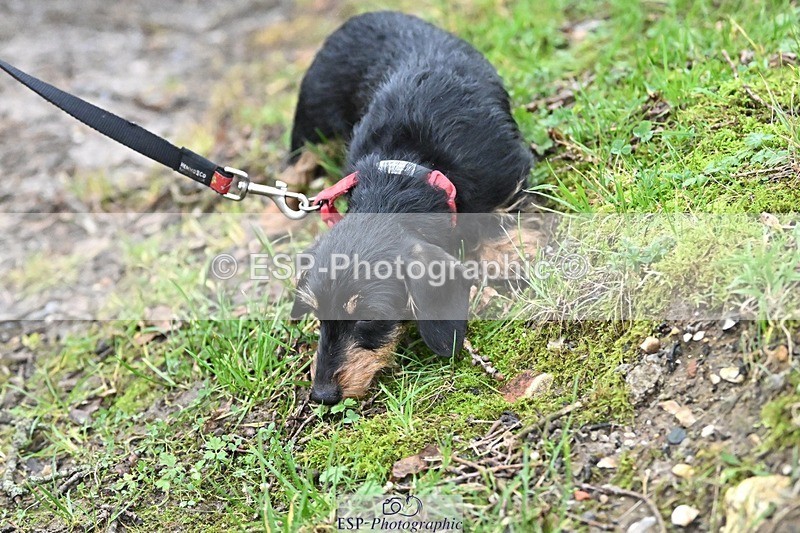 241206-144308-01137 - Naomi