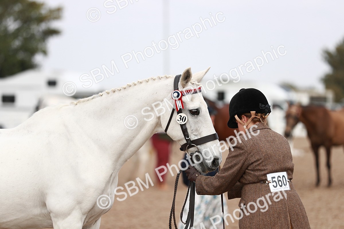 SBM_13274 - Class 208 IH Veteran Horse