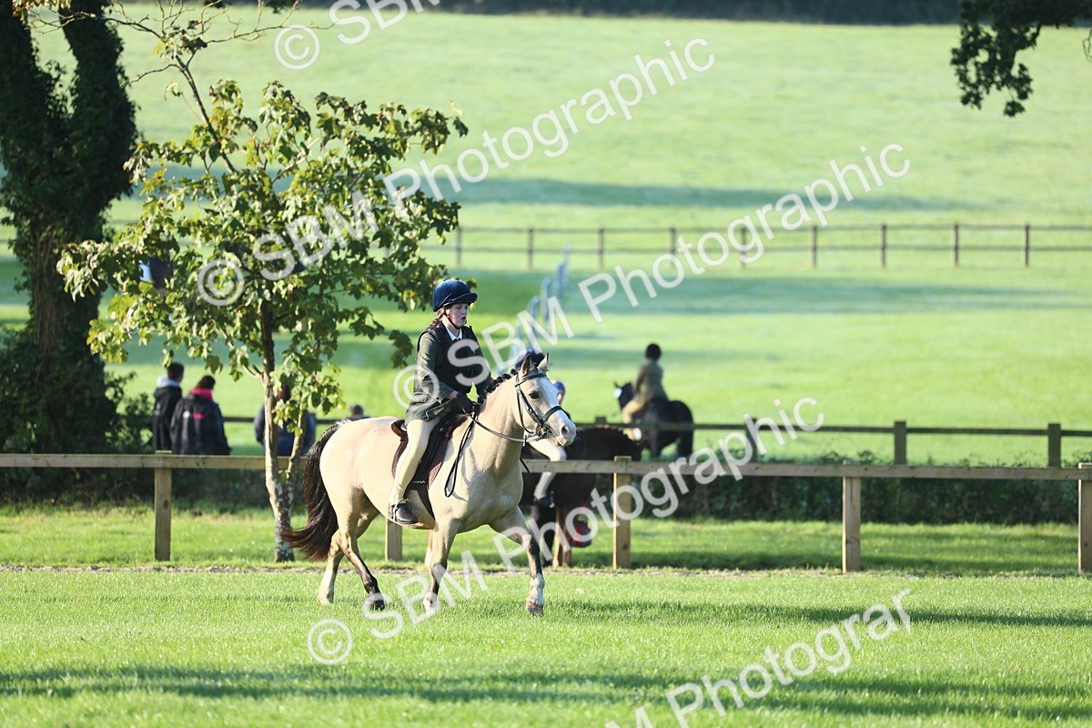 SBM_37252 - S29 - Novice & Newcomers Working Hunter Pony