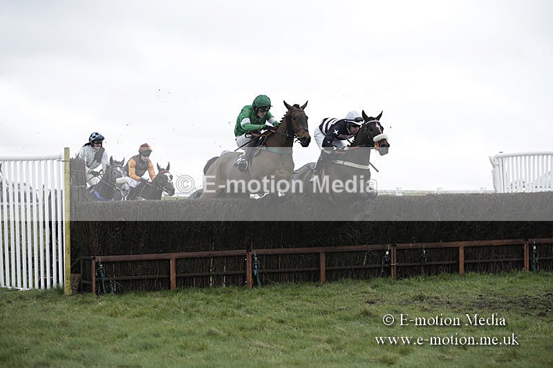 PtP 150320 0479 - New Forest Point-to-Point Larkhill 15/03/20