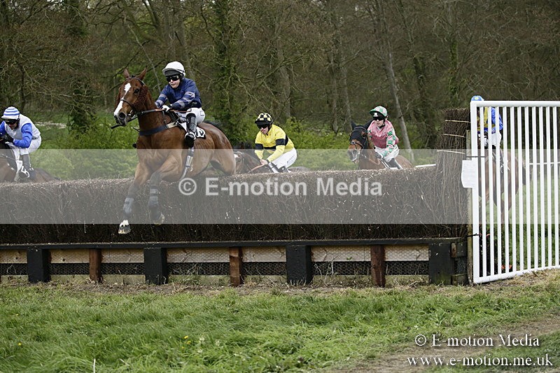 PtP 170417 533 - Old Berks Point-to-Point Lockinge 17/04/17