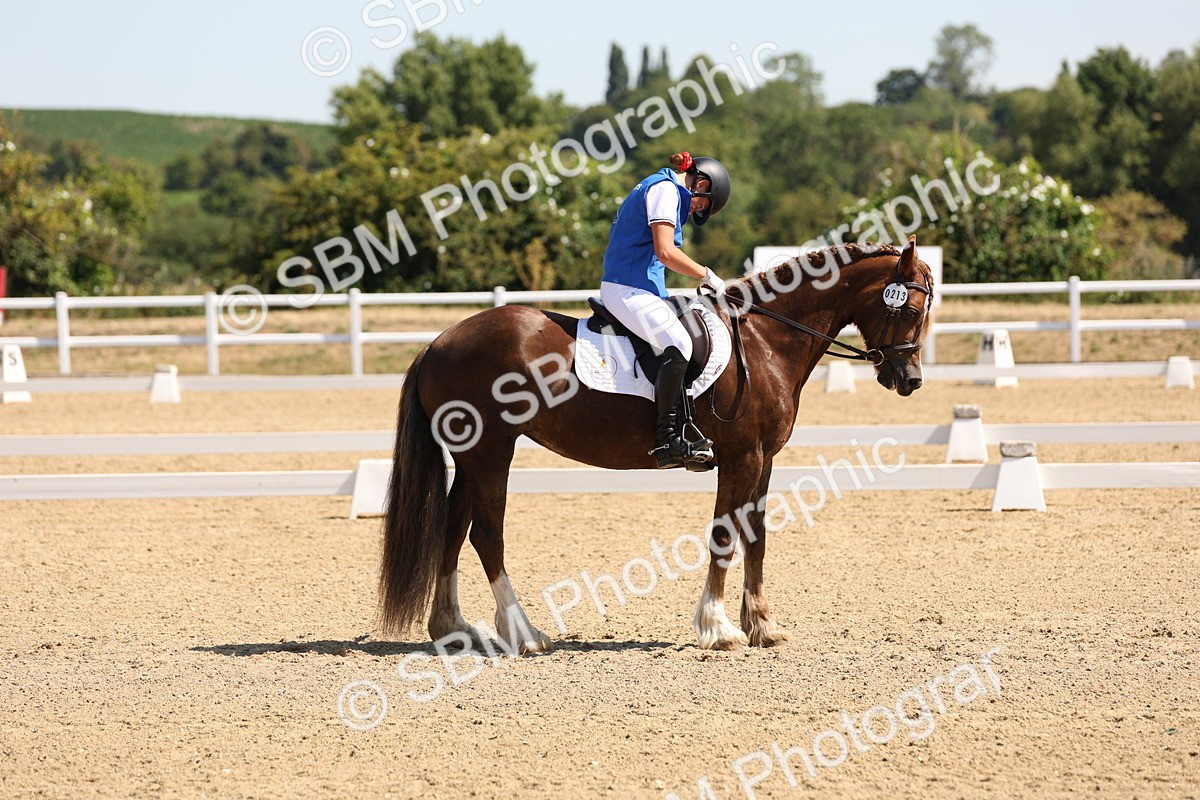 SBM_001132 - Intro 2