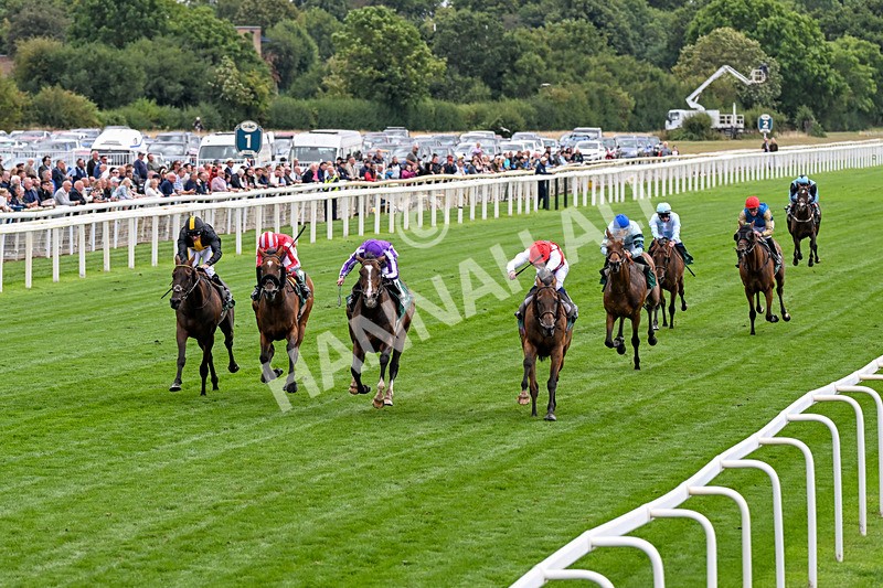 210826-Race 2-Al Nayyir-0110 - Race 2 14.25pm Weatherbys Lonsdale Cup Stakes