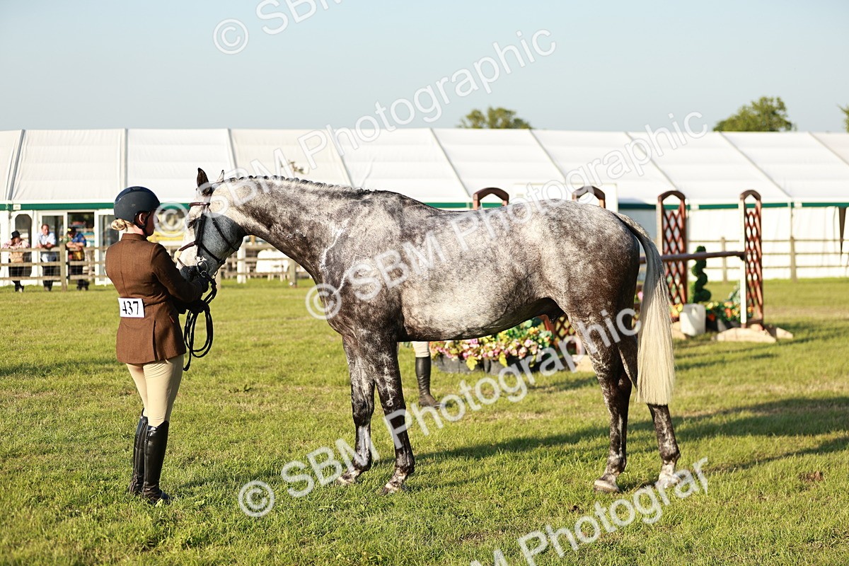SBM_20513 - Class 117-119 - Sport Horse Working Hunter